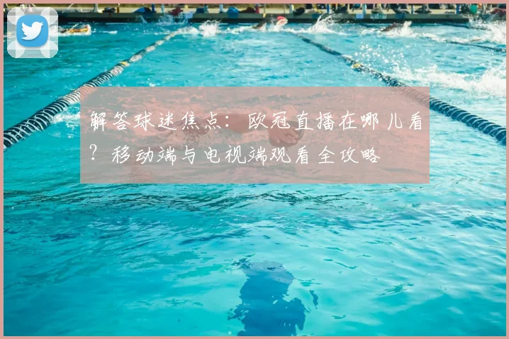 解答球迷焦点：欧冠直播在哪儿看？移动端与电视端观看全攻略