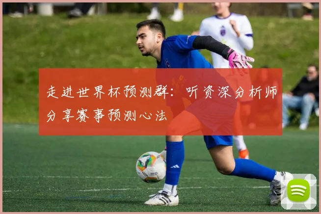 走进世界杯预测群：听资深分析师分享赛事预测心法