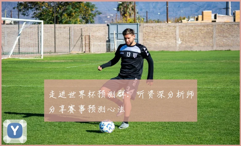 走进世界杯预测群：听资深分析师分享赛事预测心法