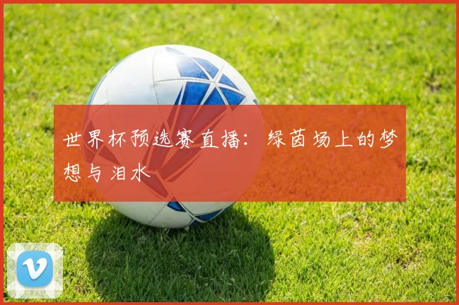 世界杯预选赛直播：绿茵场上的梦想与泪水