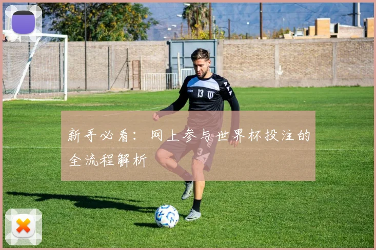 新手必看：网上参与世界杯投注的全流程解析