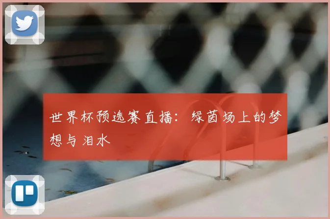 世界杯预选赛直播：绿茵场上的梦想与泪水