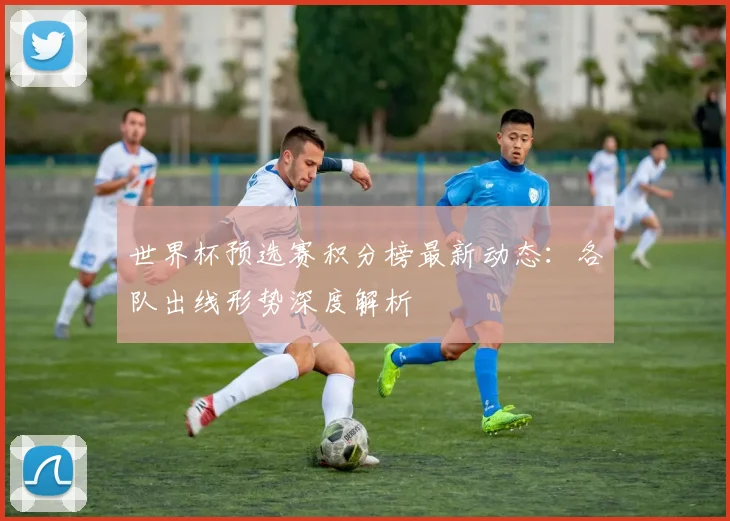 世界杯预选赛积分榜最新动态：各队出线形势深度解析