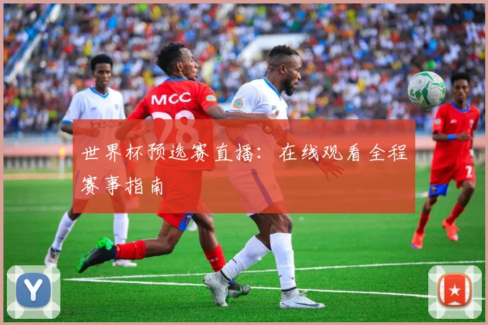 世界杯预选赛直播：在线观看全程赛事指南