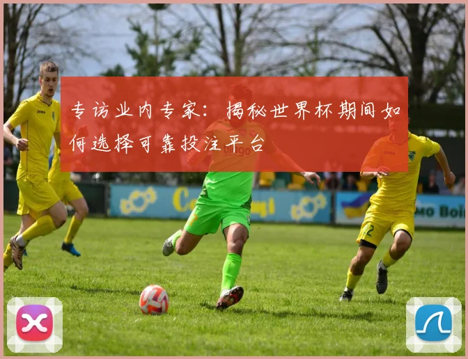 专访业内专家：揭秘世界杯期间如何选择可靠投注平台